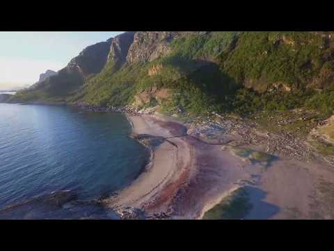 Flying under the midnight sun by Mjelle Beach