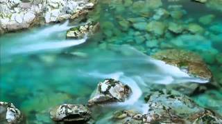 سورة التين ** الشيخ ادريس ابكر