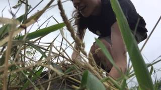 How to Safely Pick Up a Snapping Turtle