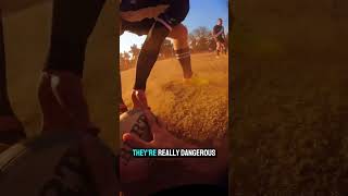 Crazy Rugby Skills w/classic commentary! 🧠🤯 Only OG’s will know where the commentary is