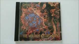 Caducity - Impassible Are the Amber Runes of Silken Illusion