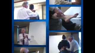 Diagnosis & Treatment of the Upper and Lower Quadrant - Brian Mulligan