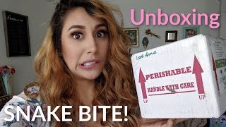 Ball python Unboxing Coolest snake! Wealth