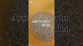 Misafire Bu Menü Olmaz Dediler Ben Yine De Yaptım Sizce Olmuş Mu Olmamış Mı Fikrinizi Merakettim