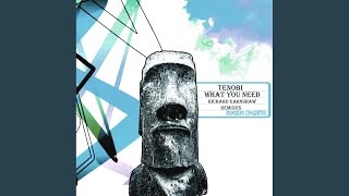 What You Need (Richard Earnshaw Instrumental Revision)