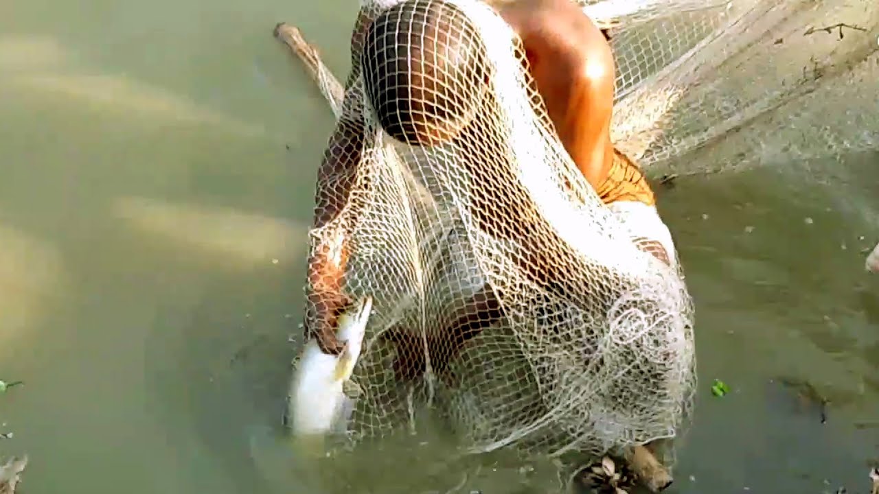 Most Unbelievable Unique Fishing Video | Village Long Net Fishing