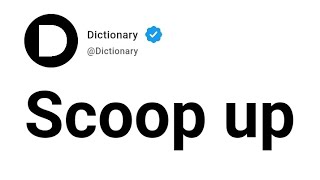 Scoop up Meaning In English