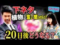 下ネタを20日間浴びた植物は枯れる？元気になる？単独ライブ特別企画