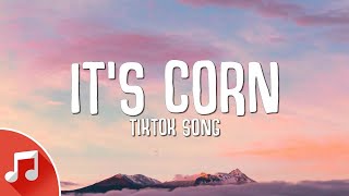 its corn kid tiktok song (Lyrics) | its corn a big lump with knobs