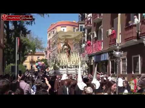Antigua, Venerable Hermandad y Cofradía de Nazarenos de Nuestro Padre Jesús de la Soledad, Negaciones y Lágrimas de San Pedro, María Santísima del Dulce Nombre y San Francisco de Asís