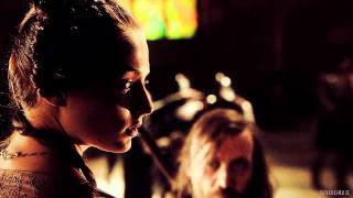 a shattered face and broken wings || sansa&sandor