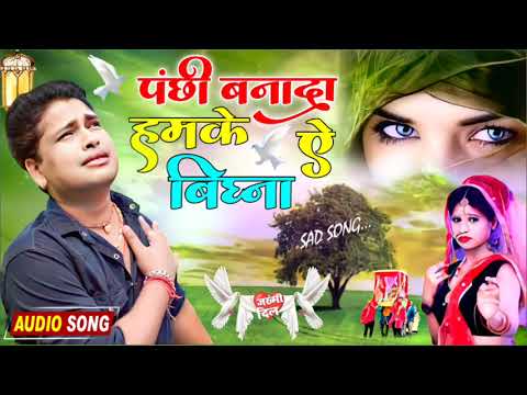 panchhi / पन्छी / new tharu song / 2080 II 2023 / rk tharu / annu chaudhary