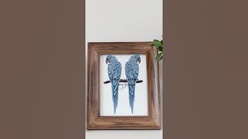 Drawing the whole body of a blue macaw - Procreate on ipad #Shorts