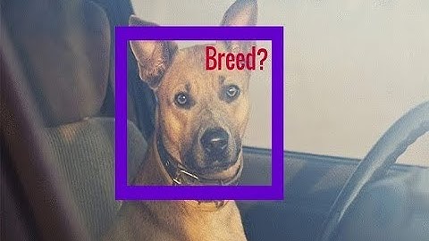 2. Importing Libraries and Dataset