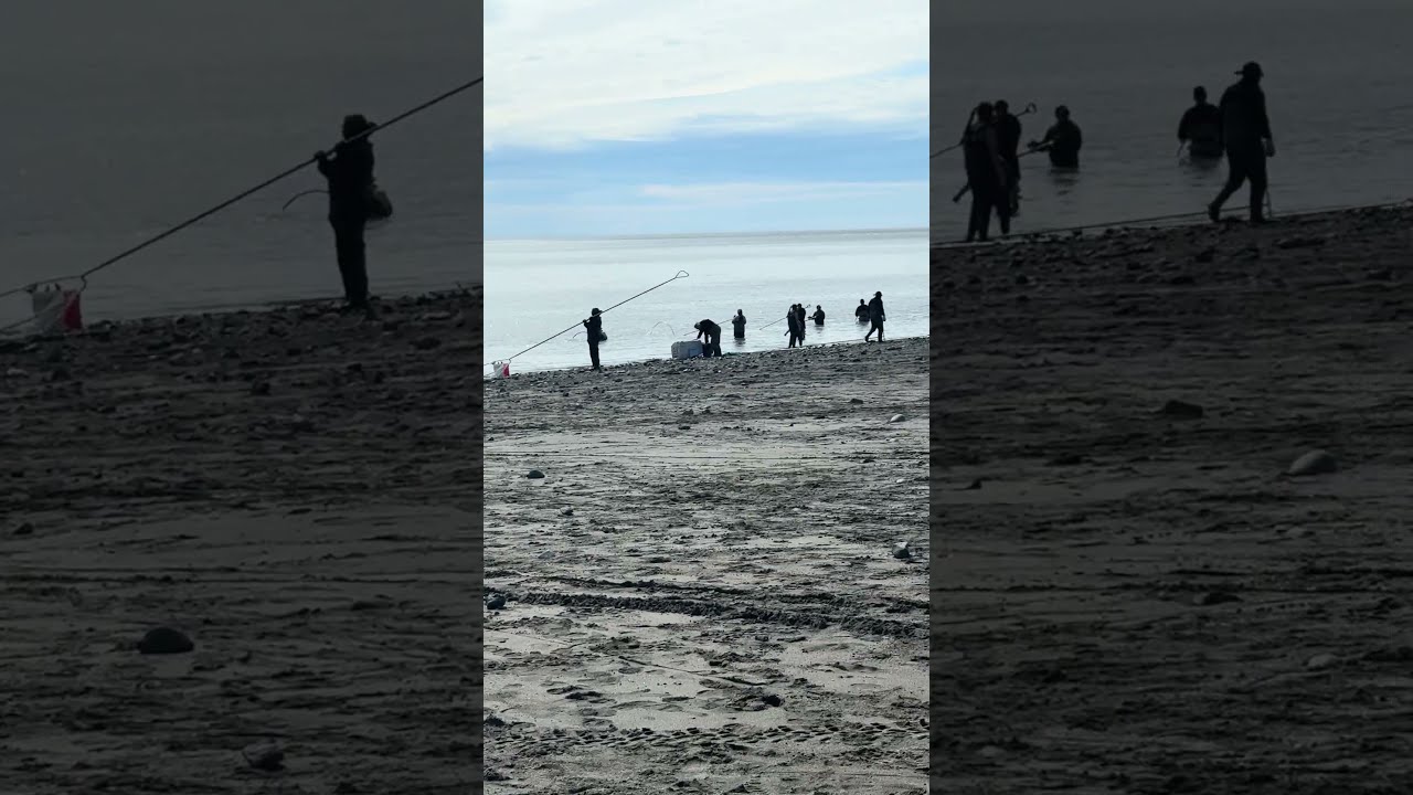 Alaska Dipnetting Season