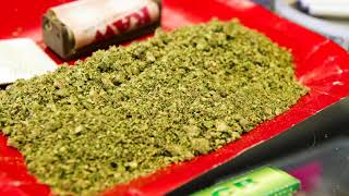 East Van pot dispensary raided for alleged ties to organized crime
