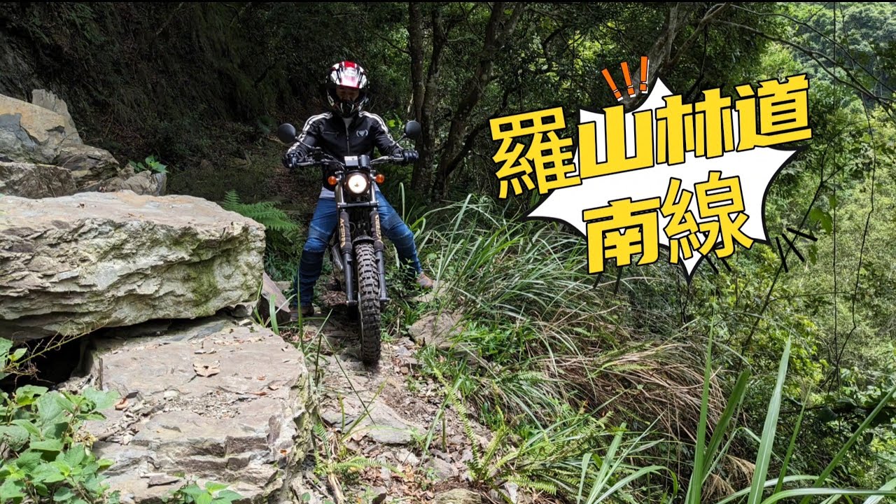 新竹五峰 | 羅山林道南線