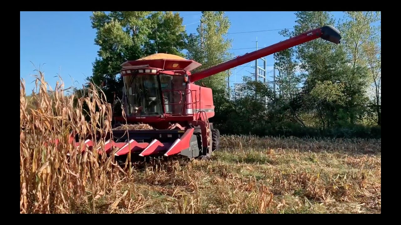 Harvest Prep and Green Light! YouTube