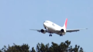 ????/JAL ?????? B737-400@????