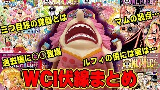 都市伝説 Onepieceのキャラ特有の語尾には意味がある