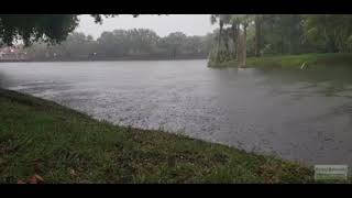 RAIN & Loud Thunder at the LAKE- The  Soothing Rain Sounds for PEACEFUL Sleep Meditation Sounds