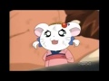 Hamtaro Bijou And Sparkle Talk Back At Each Other English Reverse