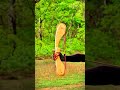 5 Mind-Blowing DIY Bows & Slingshots You Can Make at Home! 🏹