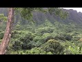 Botanical Hi Kaneohe, Ho%e2%80%99omaluhia Garden