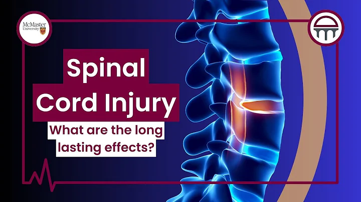 What is a spinal cord injury?