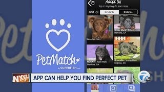 App can help you find perfect pet screenshot 1
