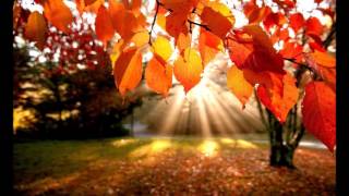 The Sound Providers- Autumns Evening Breeze (Extended)