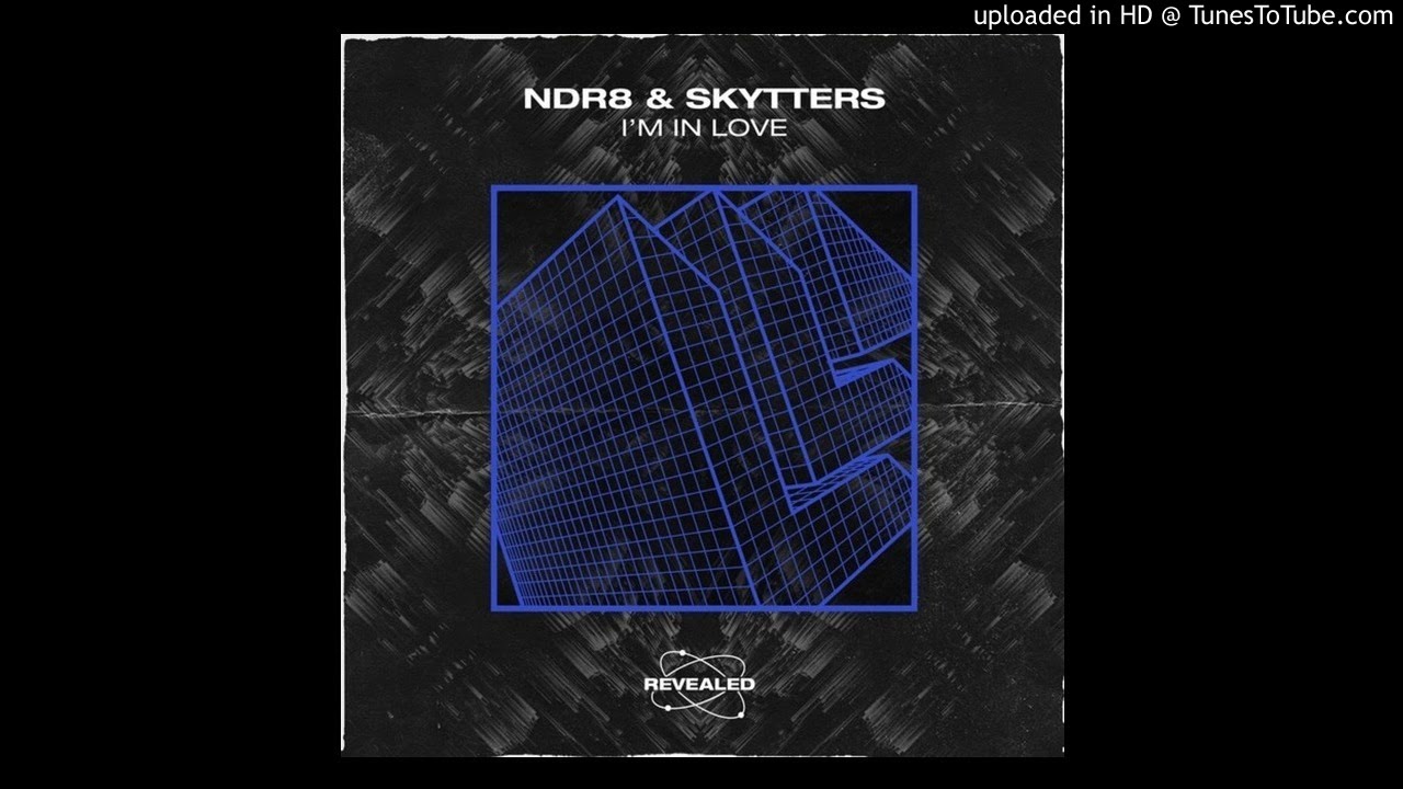 NDR8 & Skytters - I'm In Love (Extended Mix)
