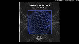 NDR8 & Skytters - I'm In Love (Extended Mix)