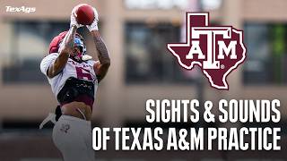 Sights Sounds Practice 11 of Texas A M s 2026 Fall Camp