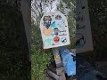 The Secret Mermaid Mailbox (see description) #mermaidmailbox #navarrebeach #floridafun