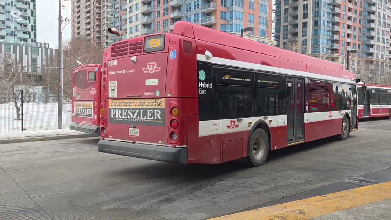 TTC Buses at Kipling,Royal York,Jane and High Park