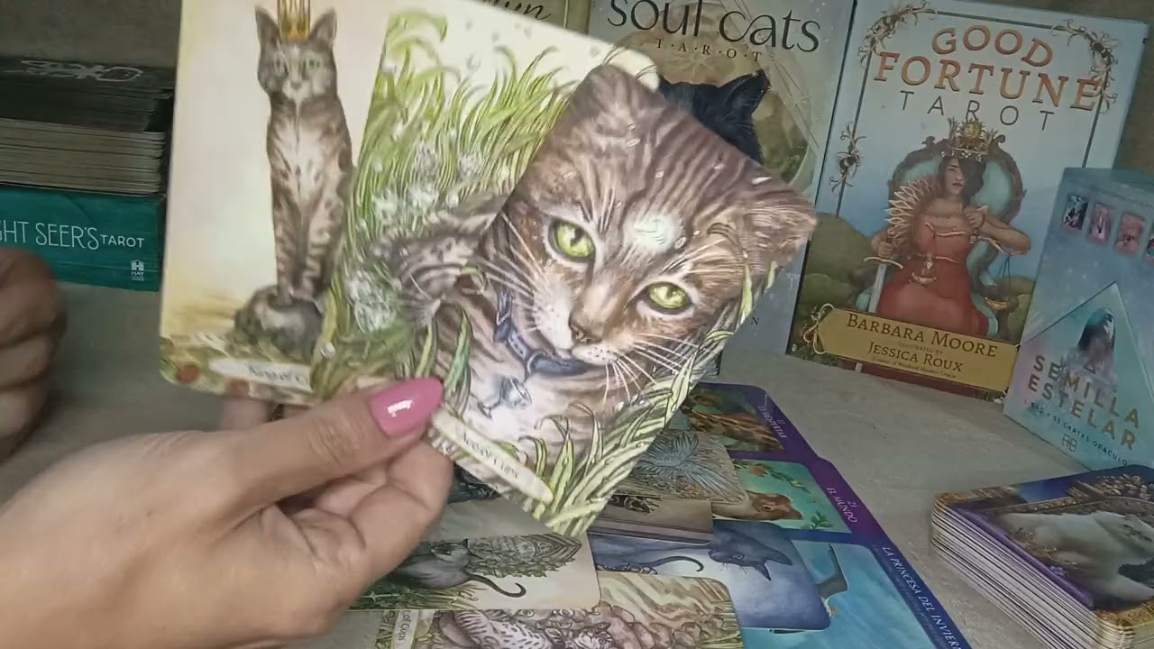 SAGITARIO ♐ ALGUIEN LLEGA ❤️‍🔥 A TU VIDA😍 TU PERSONA ESPECIAL‼️SIENTE CELOS😱  ESTABILIDAD ECONÓMICA💰