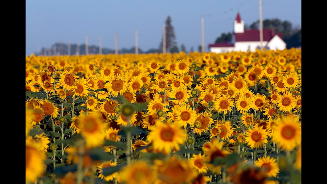 Maple Sheyenne Lutheran Church (ELCA) Wed Lenten Service Mar 4, 2026