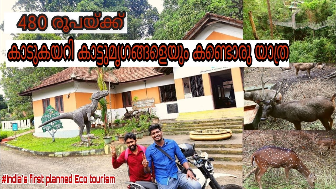 A Day In Thenmala Eco Tourism || Thenmala Forest Malayalam || ഒരു ദിവസം തെന്മല കാട്ടിലൂടെ | Boating