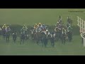 Classic Grand National No. 3 - Papillon (2000)