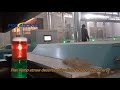 Hemp flax straw decorticating Cleaning line #jutemachine #hempmachine #machinery