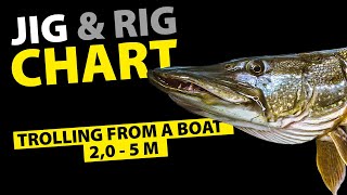 SPRO - Riggin' It - How To Rig Softbaits To Troll - 2,0 - 5M screenshot 5