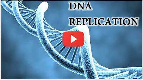 DNA Replication Animation - Super EASY