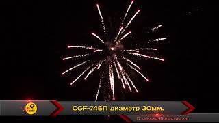 CGF 746П 1