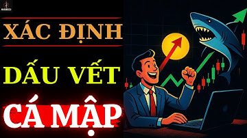 Cách Xác Định Order Blocks (Dấu Vết Dòng Tiền Lớn) Chuẩn Xác 90% – Trader Việt Phải Xem! | Marubozu