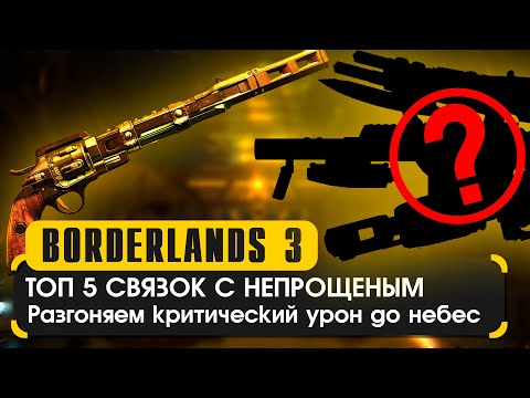 Топ 5 связок с непрощенным в Borderlands 3
