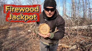 I Hit the Firewood Jackpot