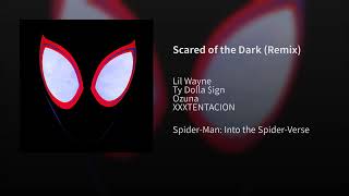 Scared of the Dark (remix)