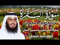سورة البقرة كاملة بصوت أحمد العجمي رقية شرعية لتحصين البيت وطرد الشياطين تلاوة تهز القلب وتريح النفس