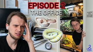 AodaReptile: The Reptile Office episode 2